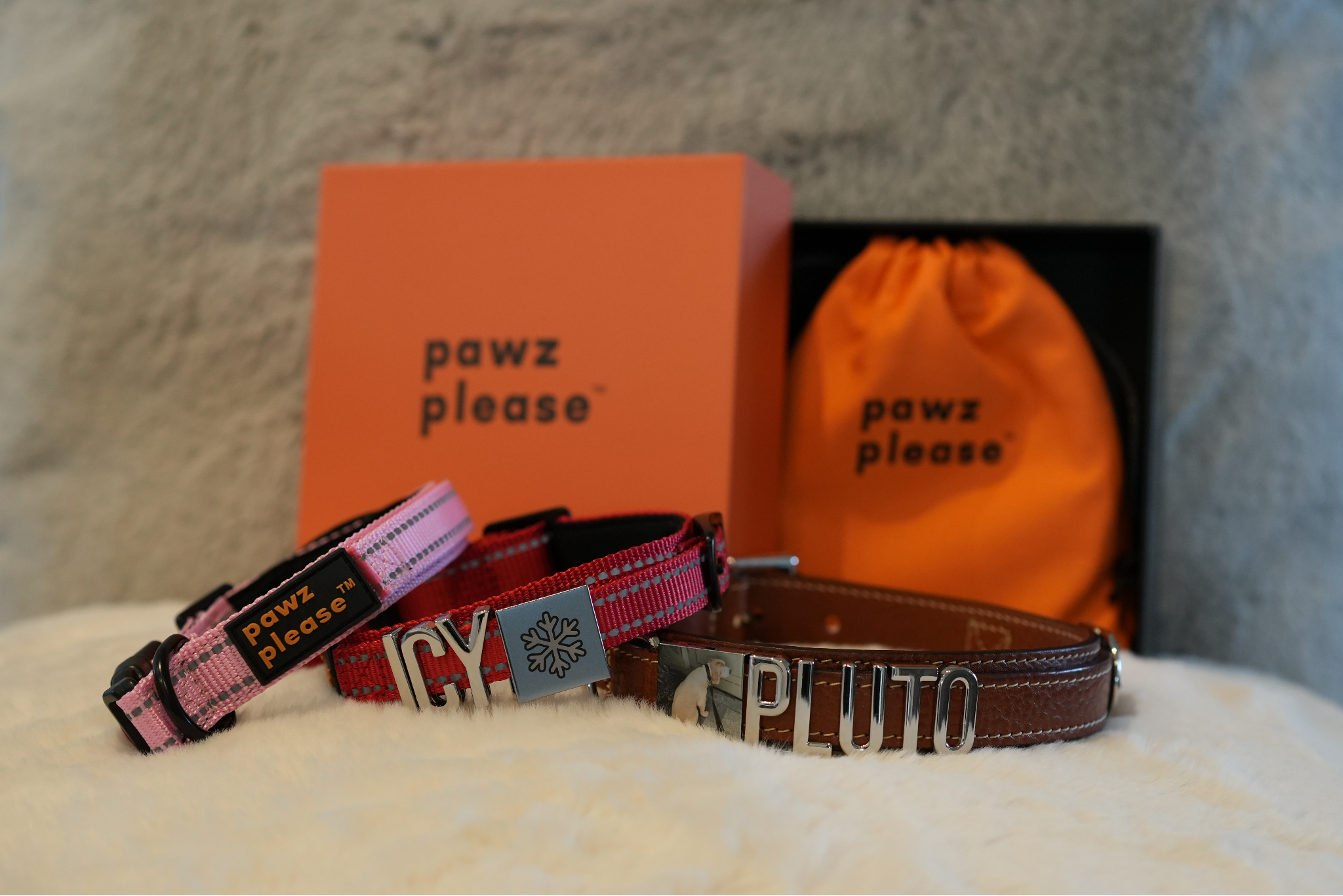 Best Gifts for Pet Lovers This Christmas