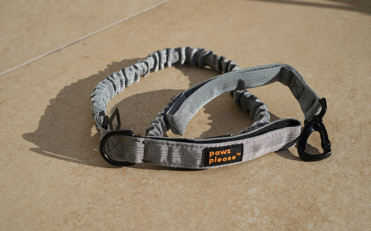 Ash Grey Pawz Please Nylon Leash on a beige tiled floor