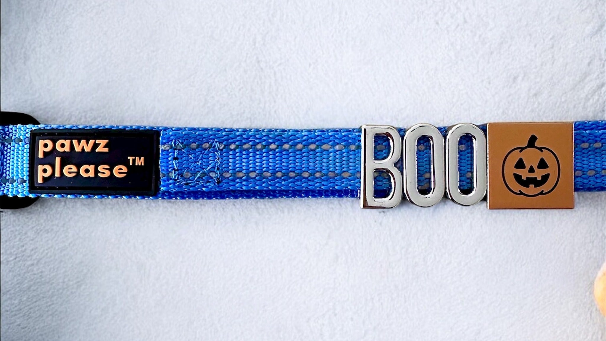 Blue Pawz Please collar with charms spelling BOO and square charm with pumpkin design on a white background