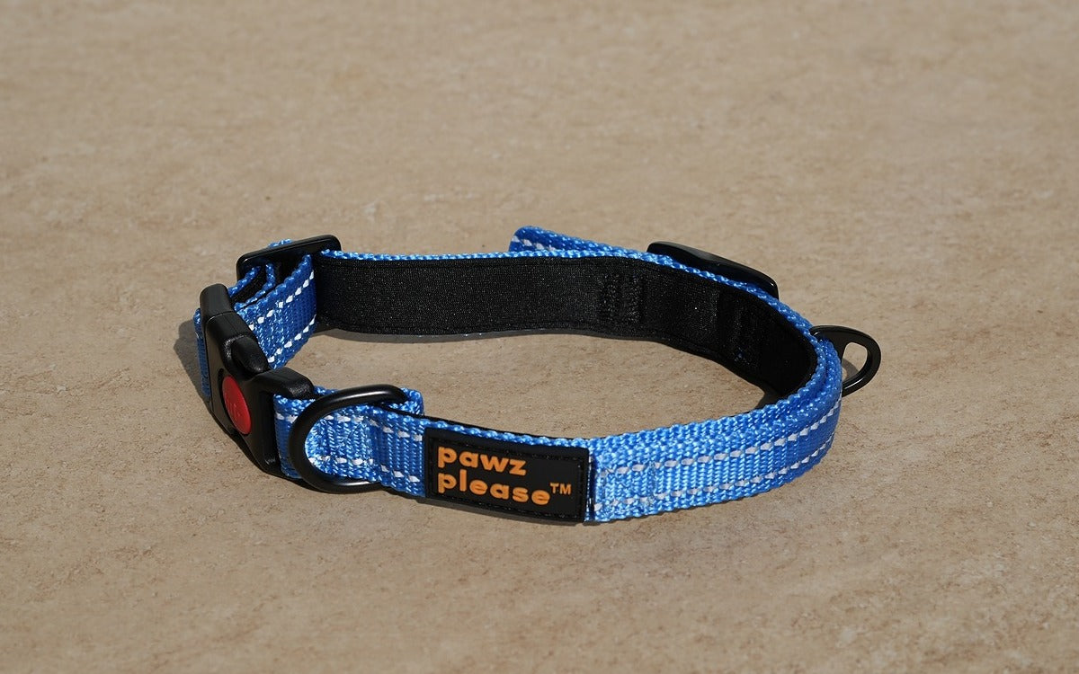 Breezy Blue The Explorer Nylon Collar from Pawz Please