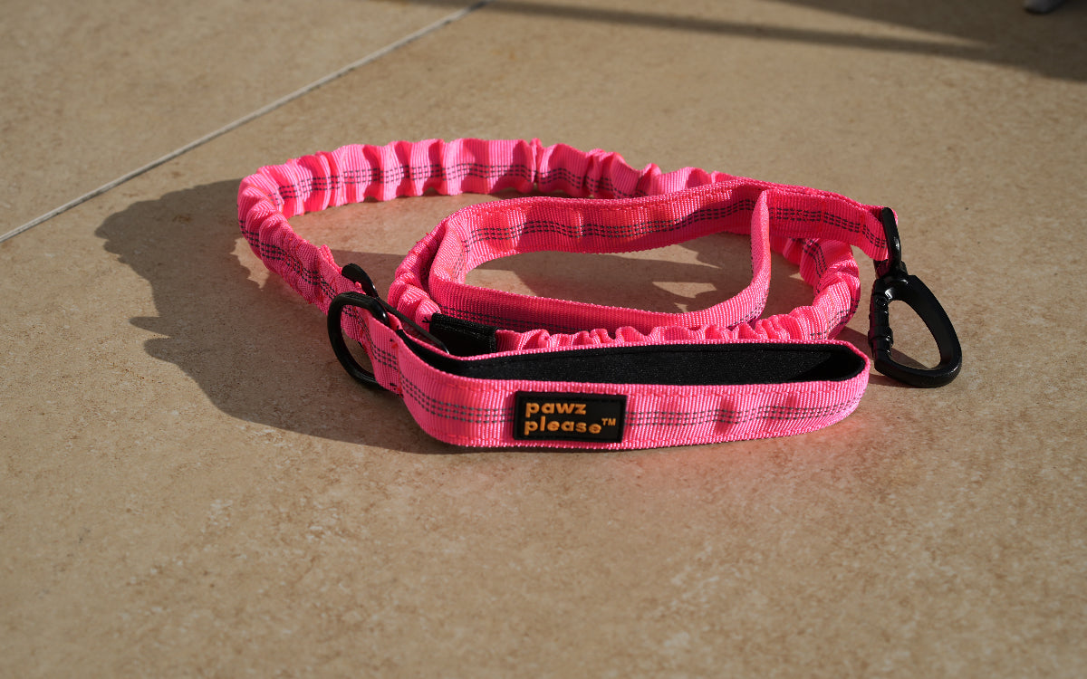 Bubblegum Pink Pawz Please Nylon Leash on a beige tiled floor