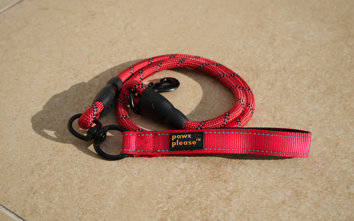 Cherry Red The Essential Rope Leash from Pawz Please