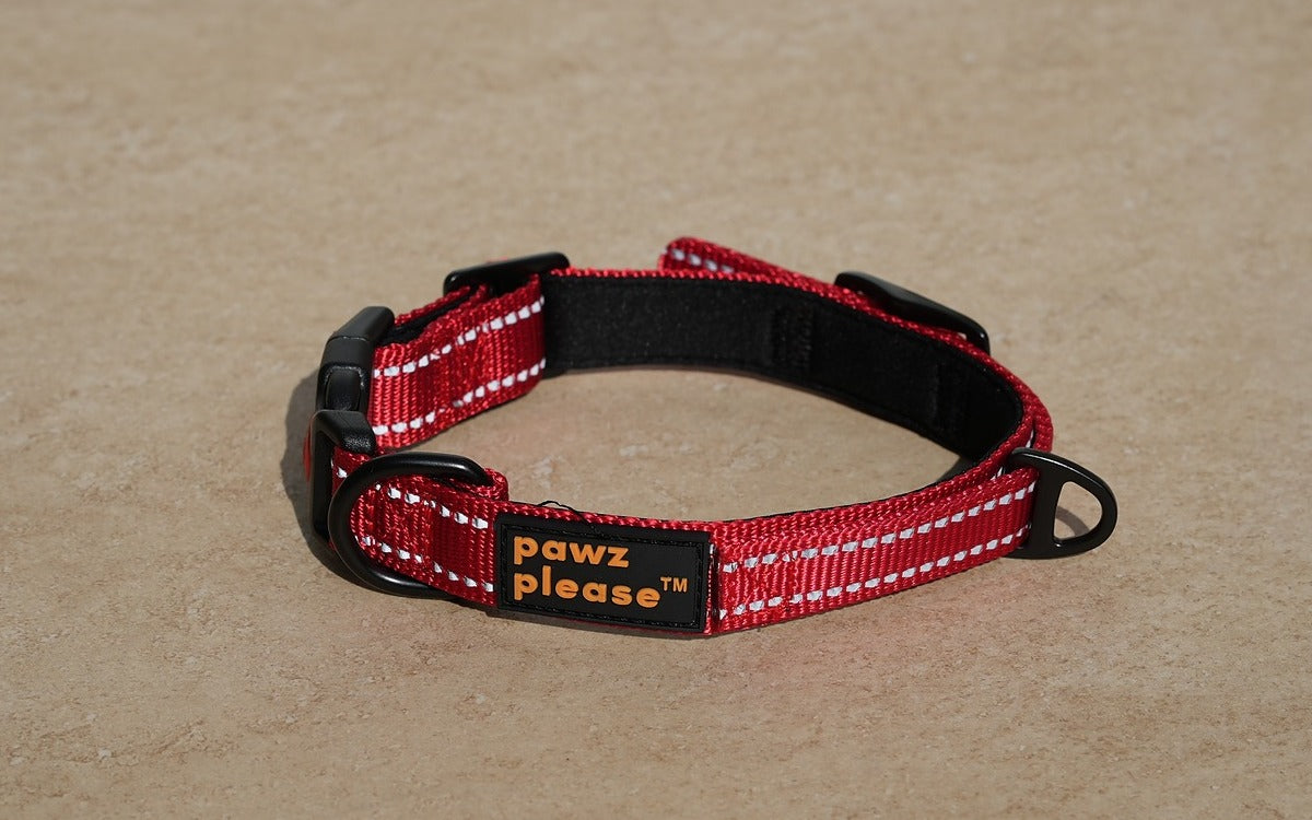 Cherry Red The Explorer Nylon Collar from Pawz Please