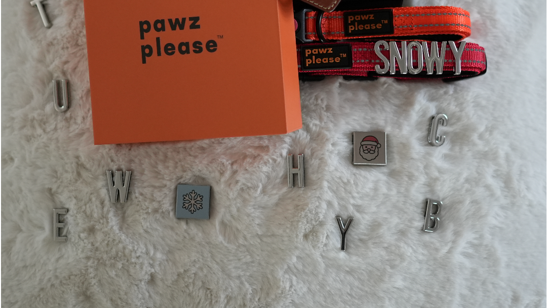 Collection of dog collars and accessories with 'pawz please' branding on a textured surface.