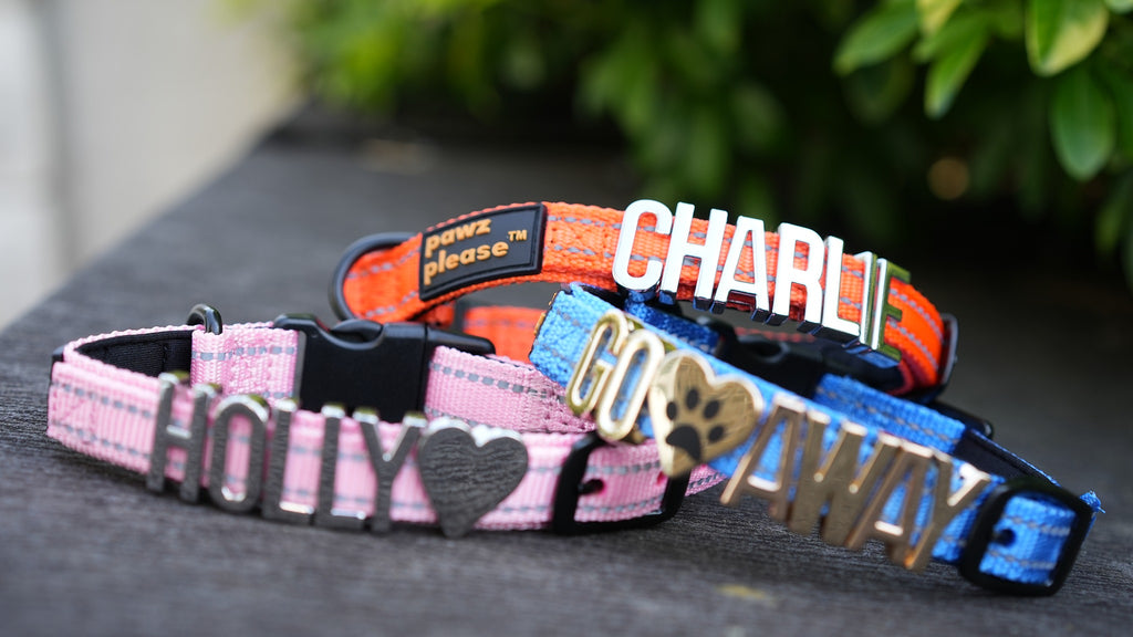 Colourful Pawz Please Nylon Collars with personalised charms spelling names and phrases on a dark surface.