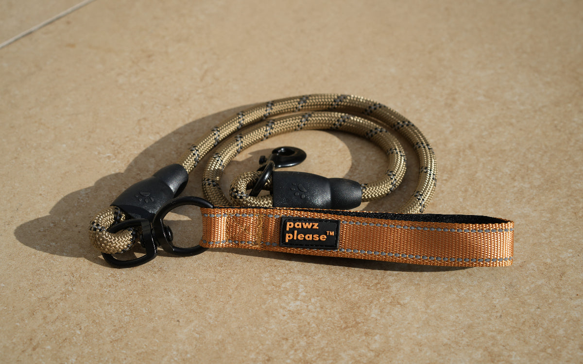 Fiesty Orange The Essential Rope Leash from Pawz Please
