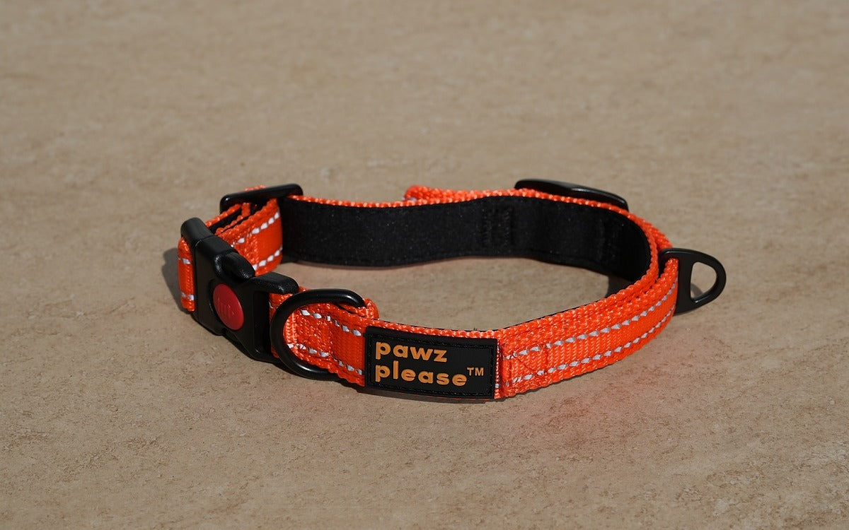 Fiesty Orange The Explorer Nylon Collar from Pawz Please