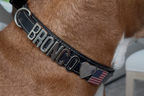 Leather Pawz Please collar with charms spelling BRONCO on a brown dog.