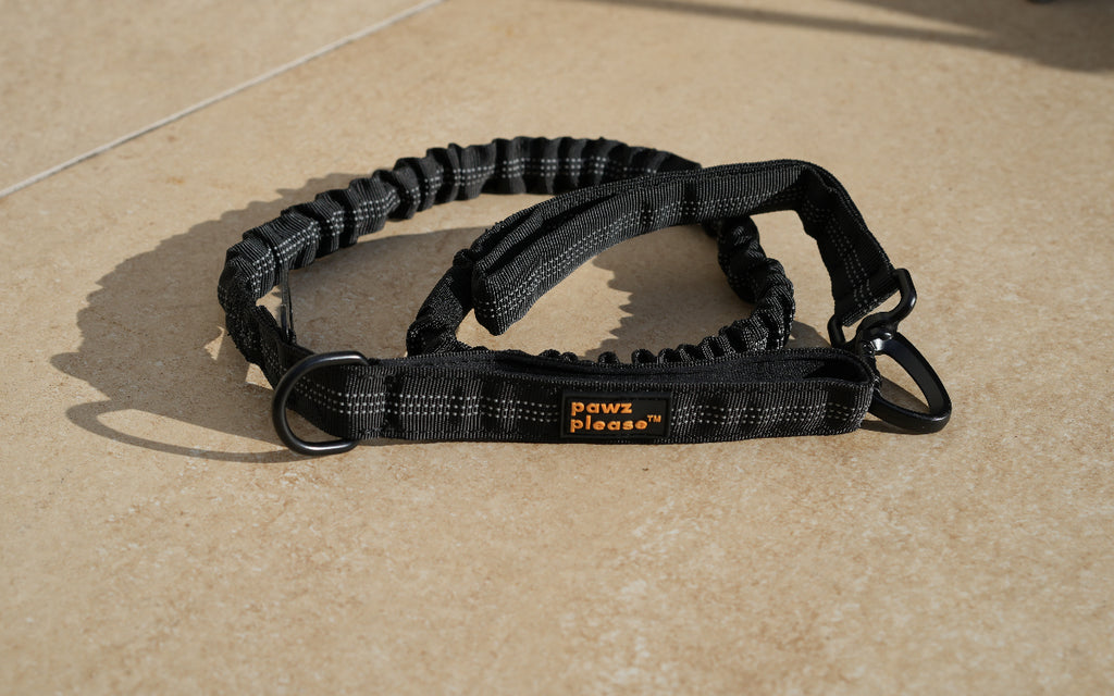 Paw Black Pawz Please Nylon Leash on a beige tiled floor
