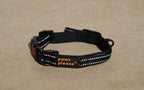 Paw Black The Explorer Nylon Collar from Pawz Please