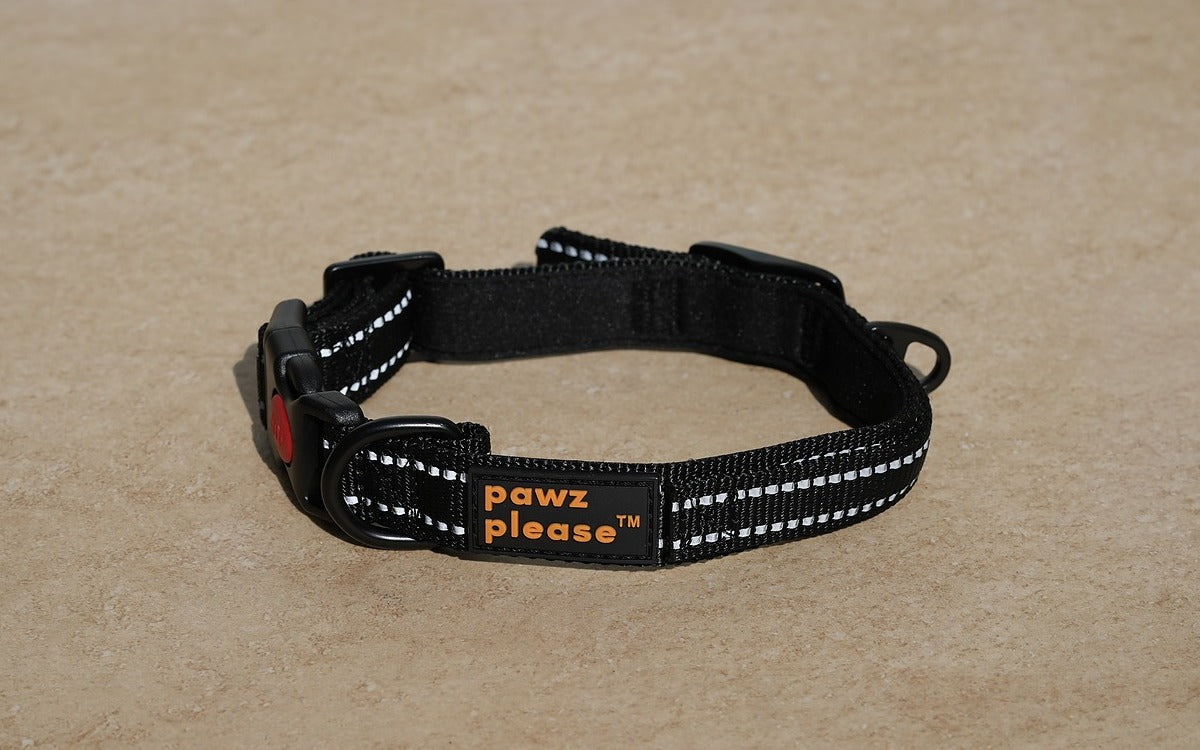 Paw Black The Explorer Nylon Collar from Pawz Please