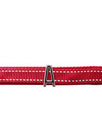 Pawz Please Charm A Silver