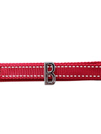 Pawz Please Charm B Silver