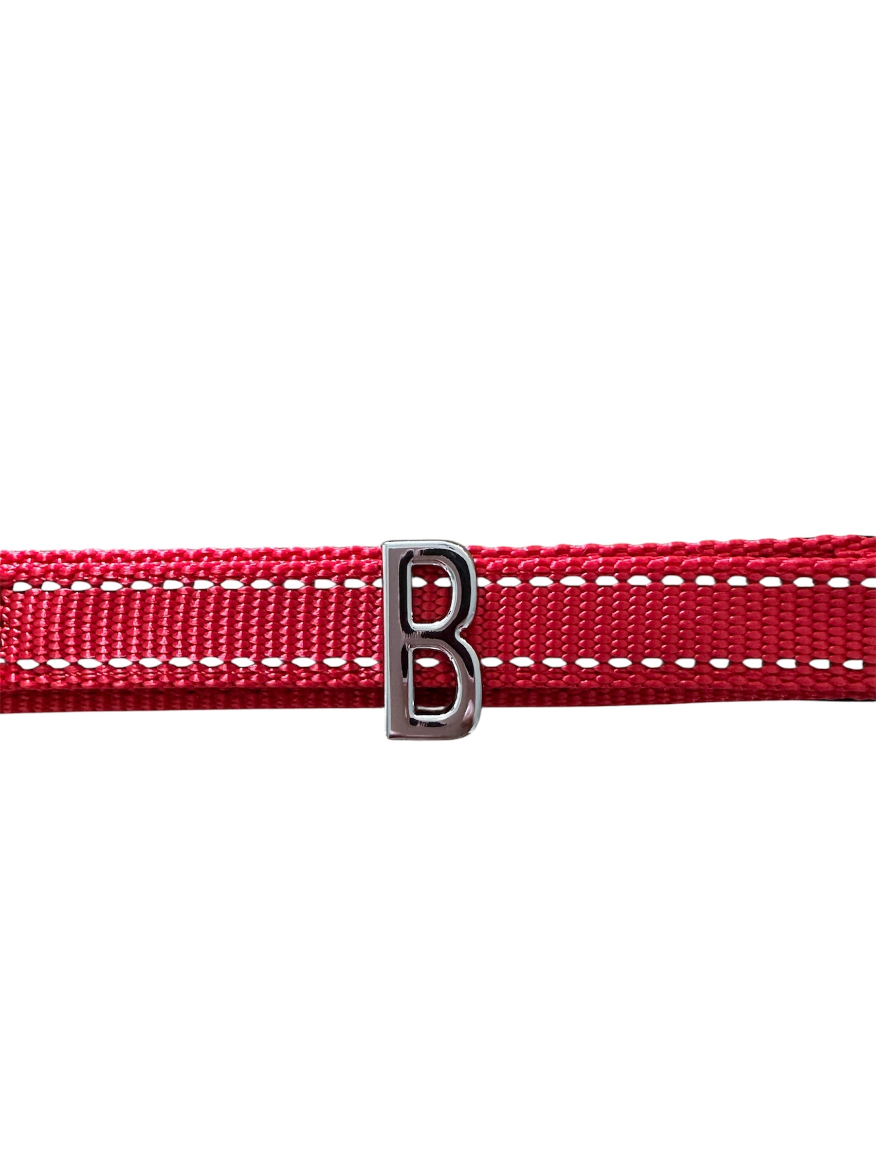 Pawz Please Charm B Silver