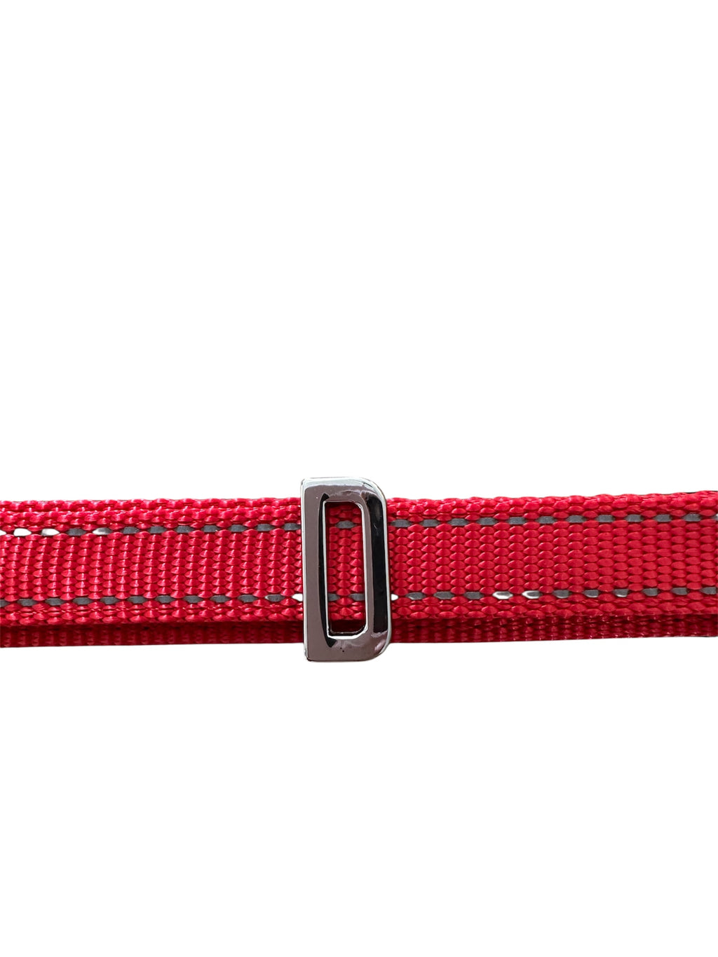 Pawz Please Charm D Silver