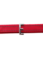 Pawz Please Charm E Silver