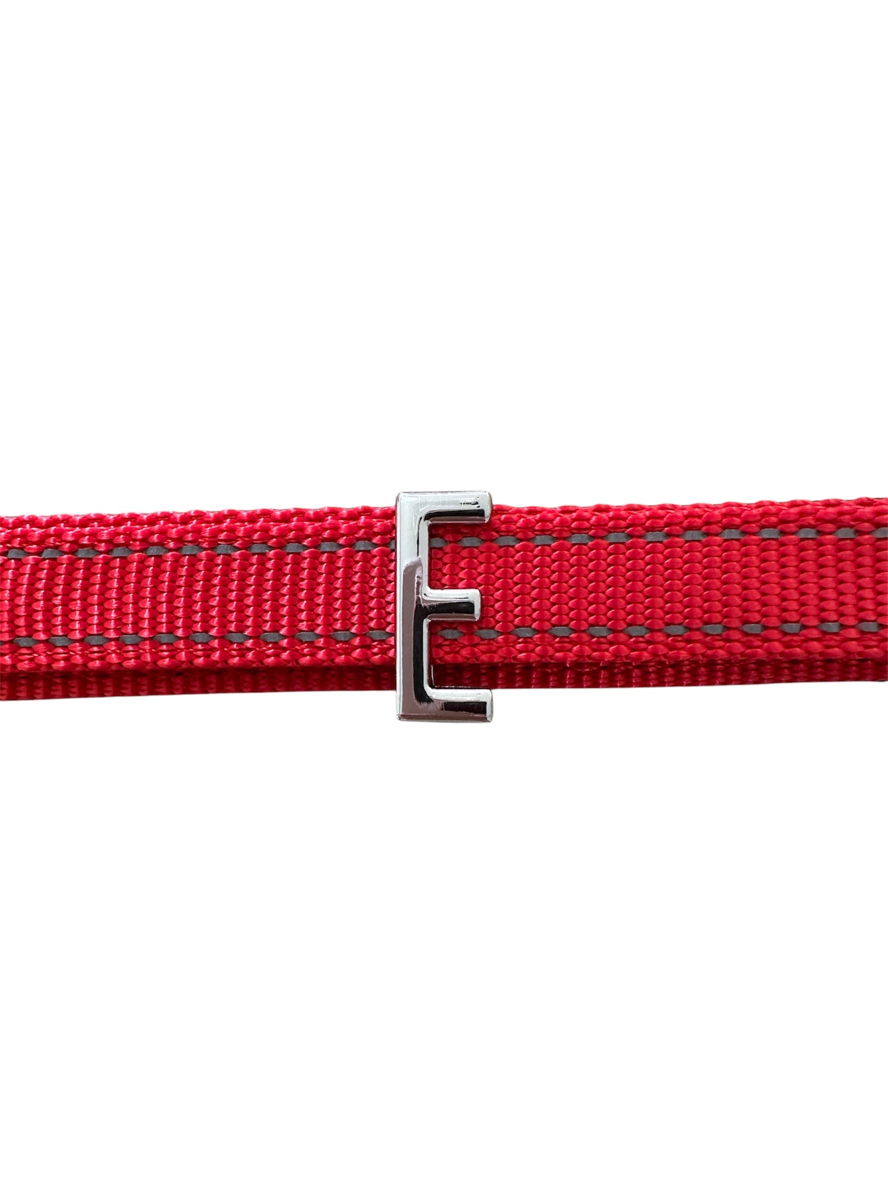 Pawz Please Charm E Silver