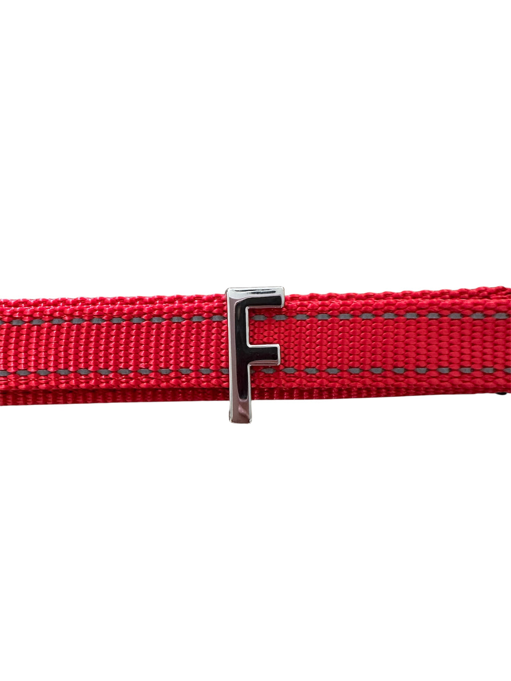 Pawz Please Charm F Silver