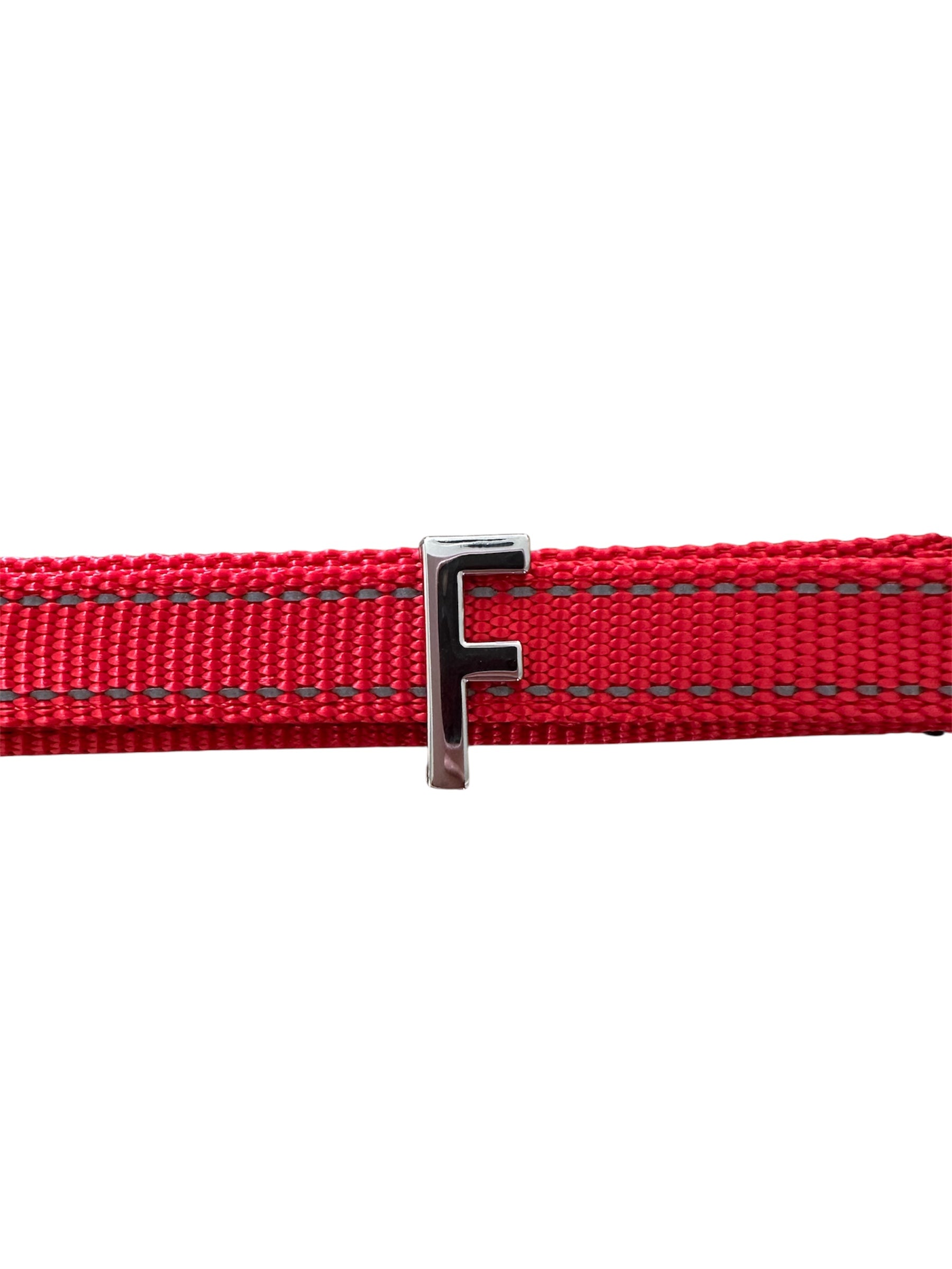 Pawz Please Charm F Silver