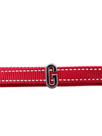 Pawz Please Charm G Silver