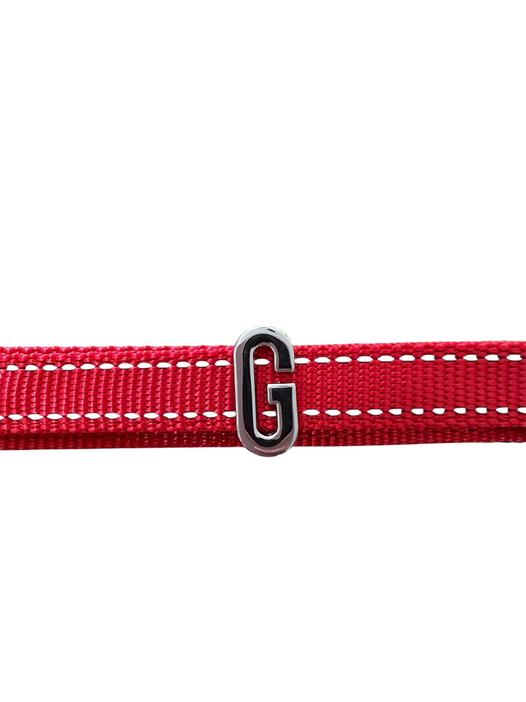 Pawz Please Charm G Silver