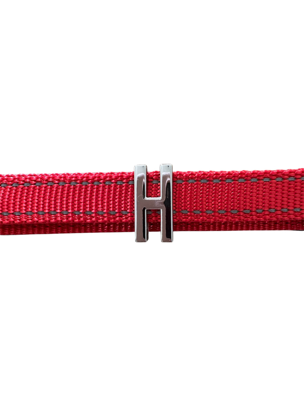 Pawz Please Charm H Silver