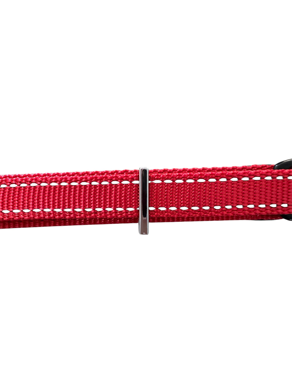 Pawz Please Charm I Silver