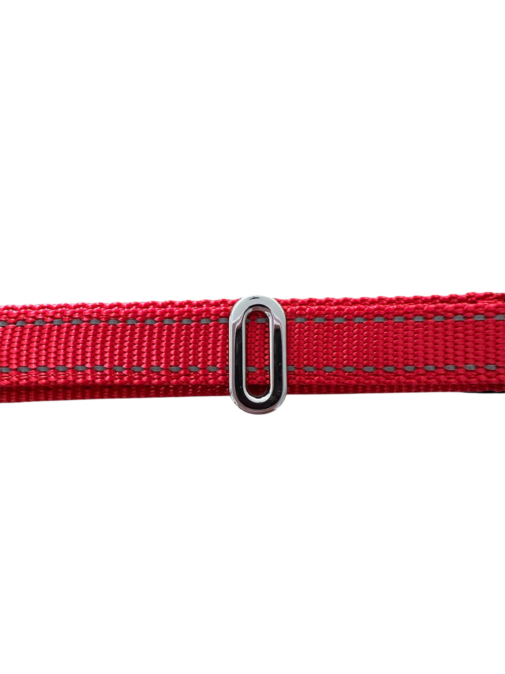 Pawz Please Charm O Silver