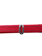 Pawz Please Charm O Silver