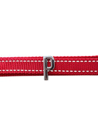 Pawz Please Charm P Silver