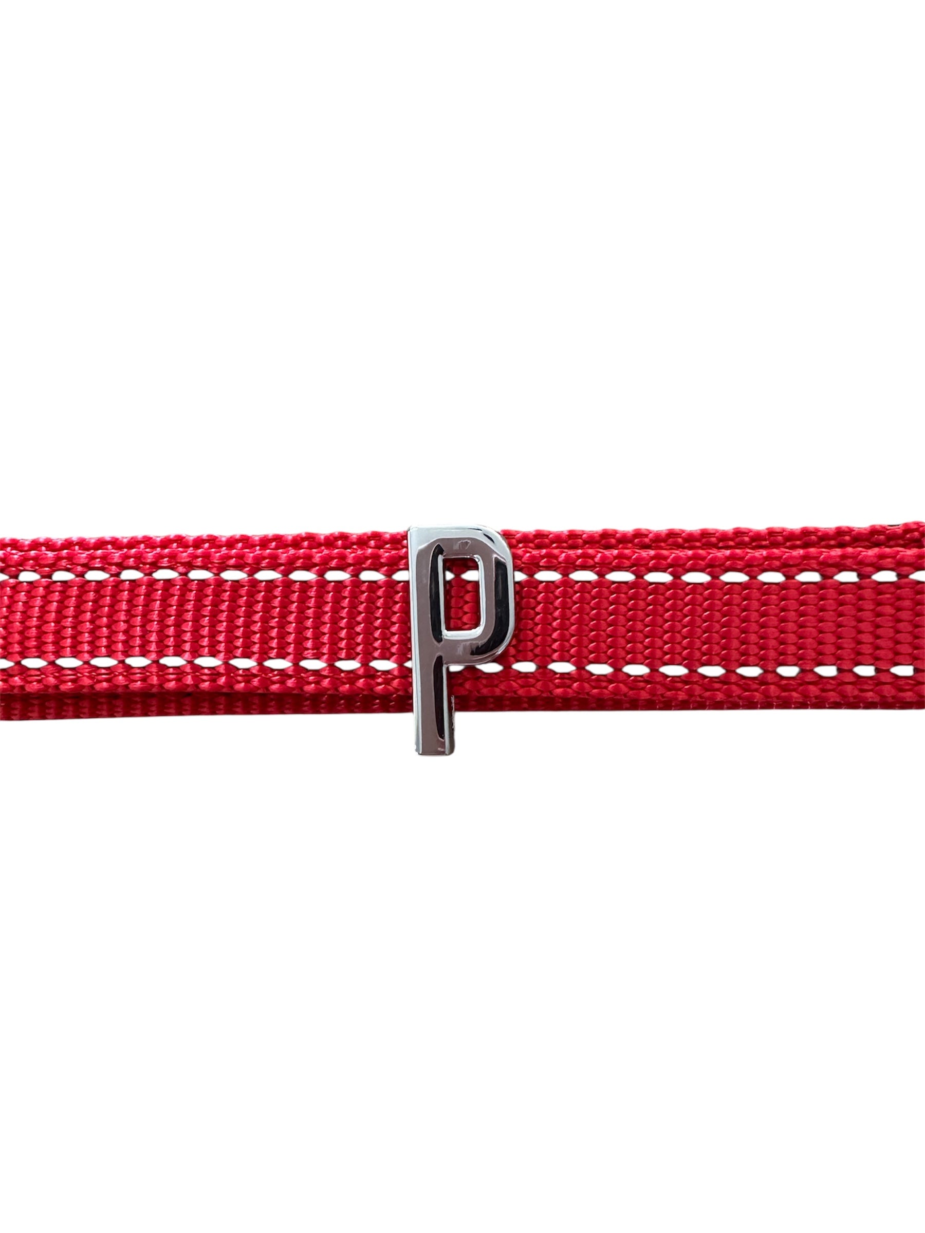 Pawz Please Charm P Silver