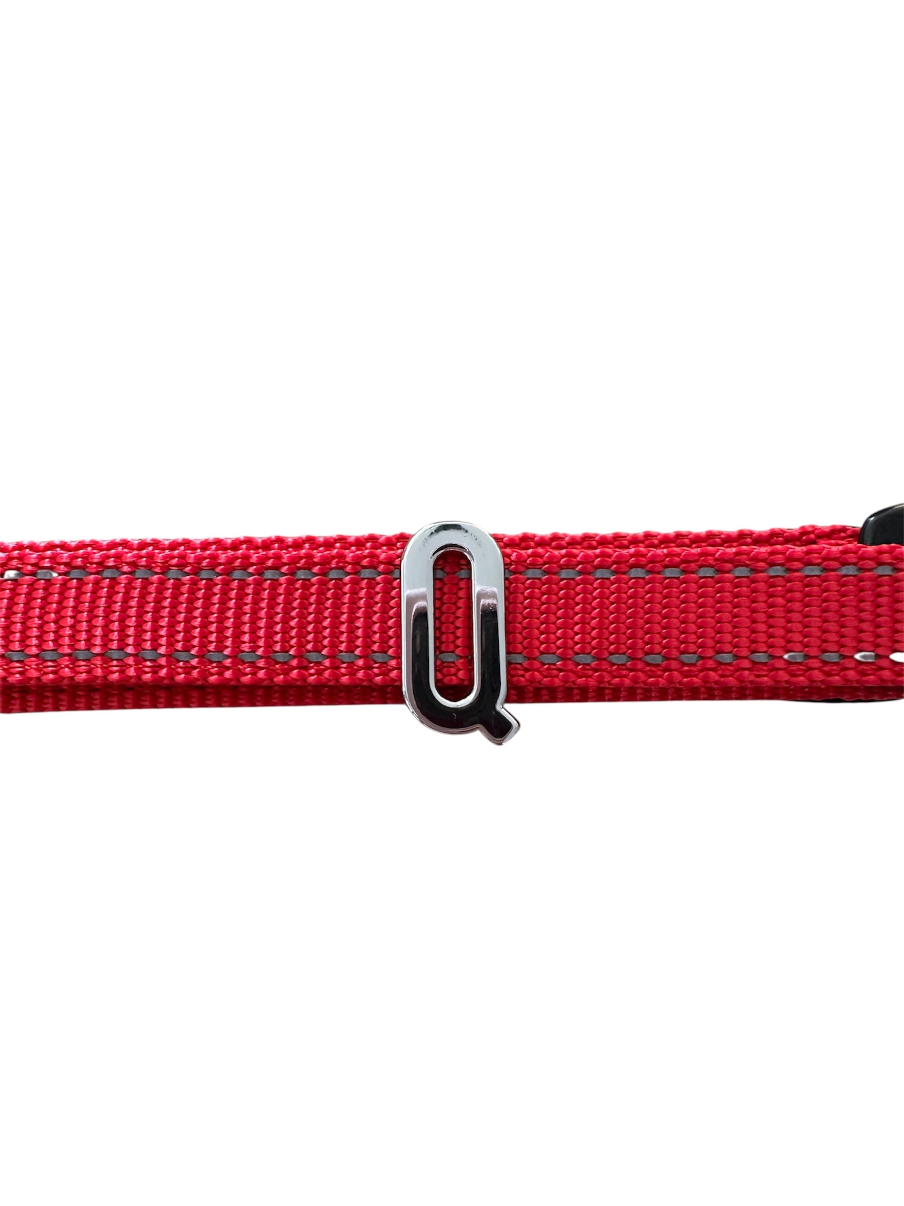 Pawz Please Charm Q Silver