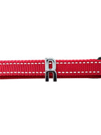 Pawz Please Charm R Silver