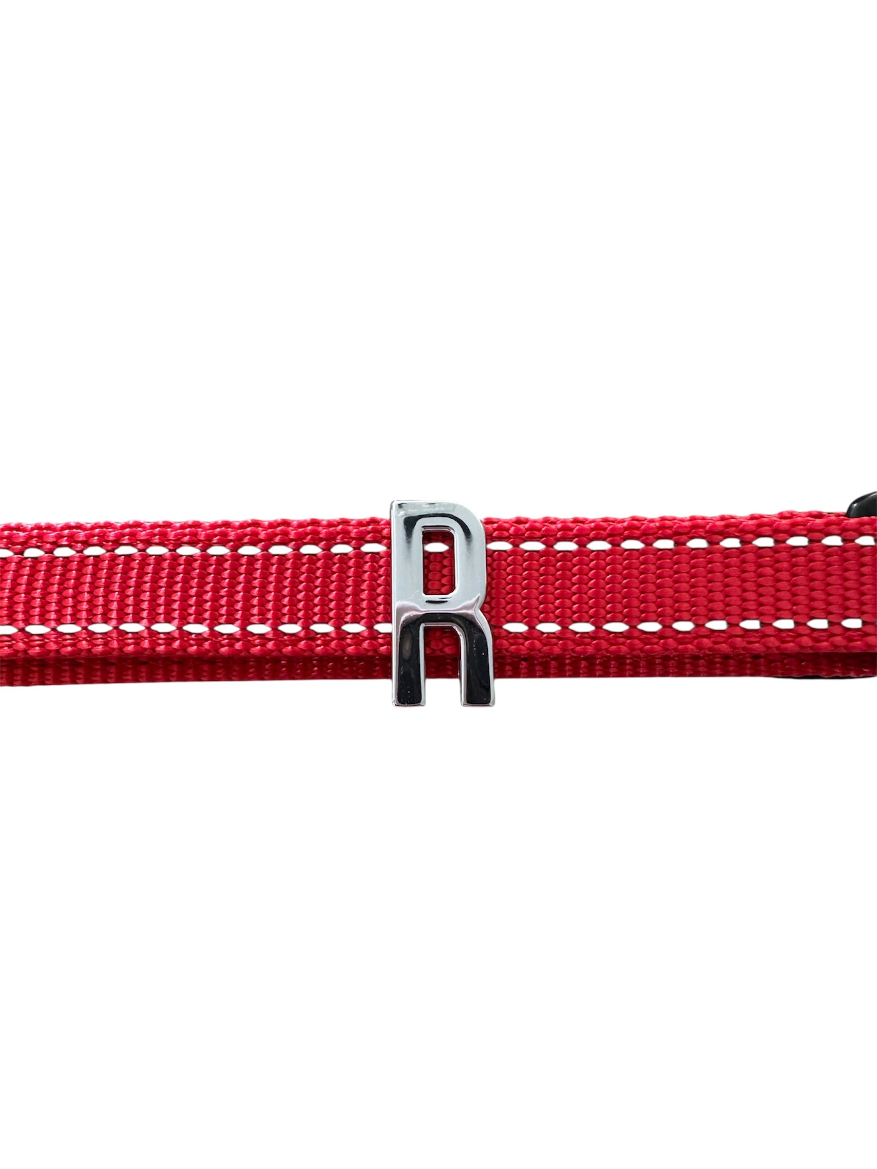 Pawz Please Charm R Silver