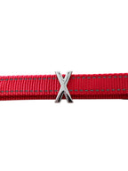 Pawz Please Charm X Silver