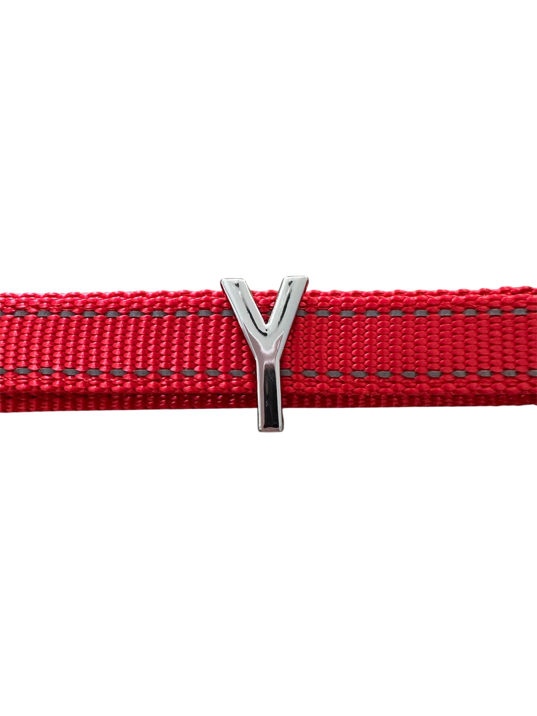 Pawz Please Charm Y Silver