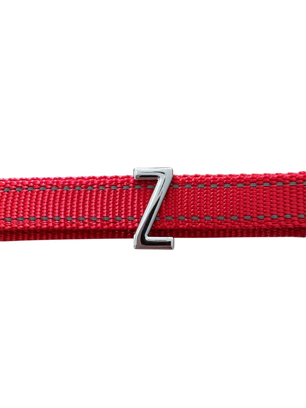 Pawz Please Charm Z Silver