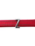 Pawz Please Charm Z Silver