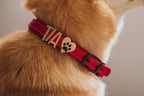Dog wearing a red Pawz Please collar with TIA and a paw print heart, sitting by a window.