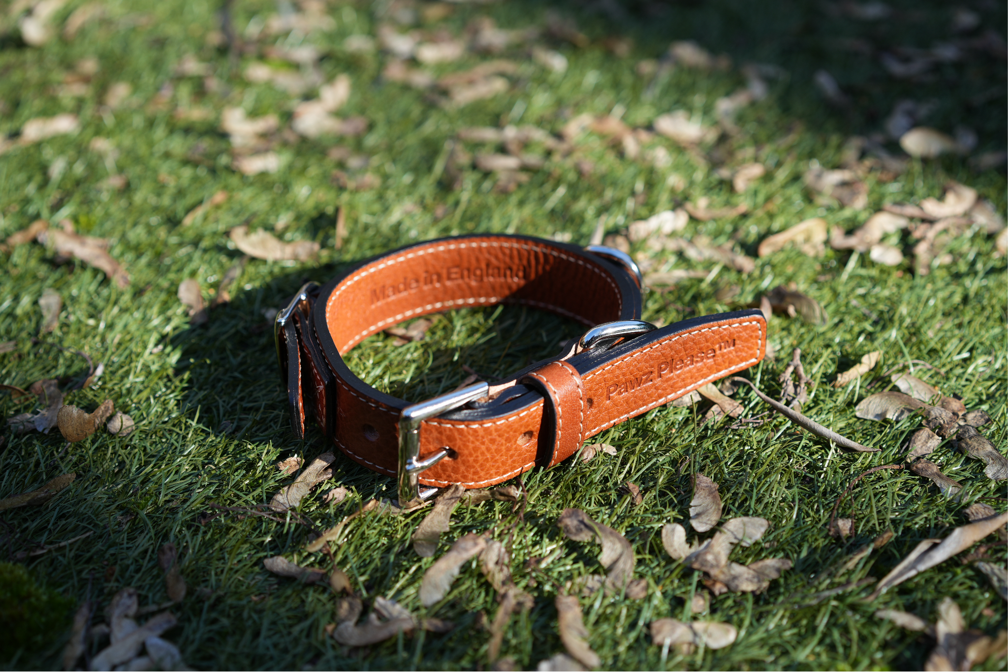 Pawz Please Signature Leather Collar in Bark Brown