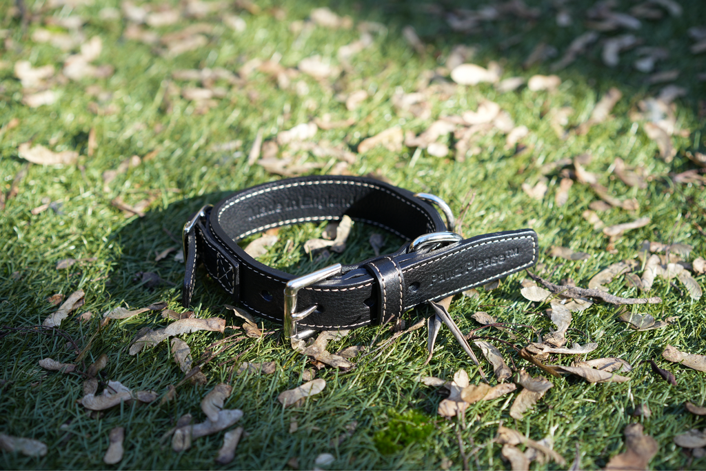 Pawz Please Signature Leather Collar in Onyx Black