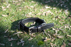 Pawz Please Signature Leather Collar in Onyx Black