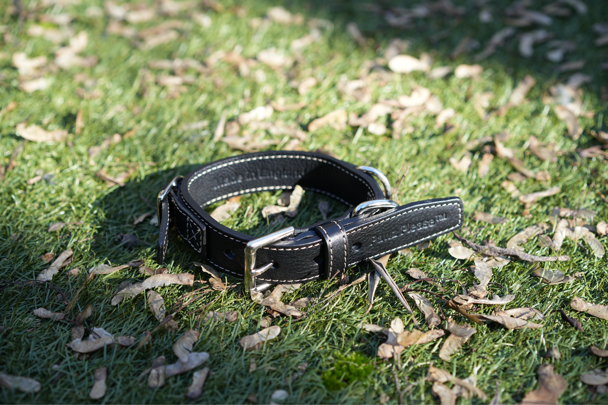 Pawz Please Signature Leather Collar in Onyx Black