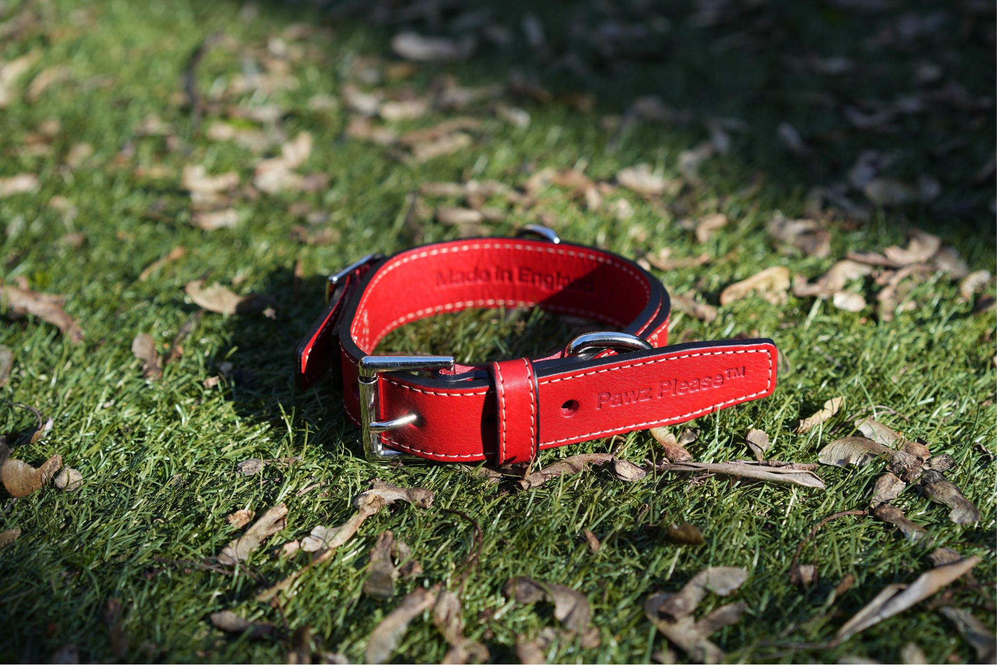 Pawz Please Signature Leather Collar in Regal Red