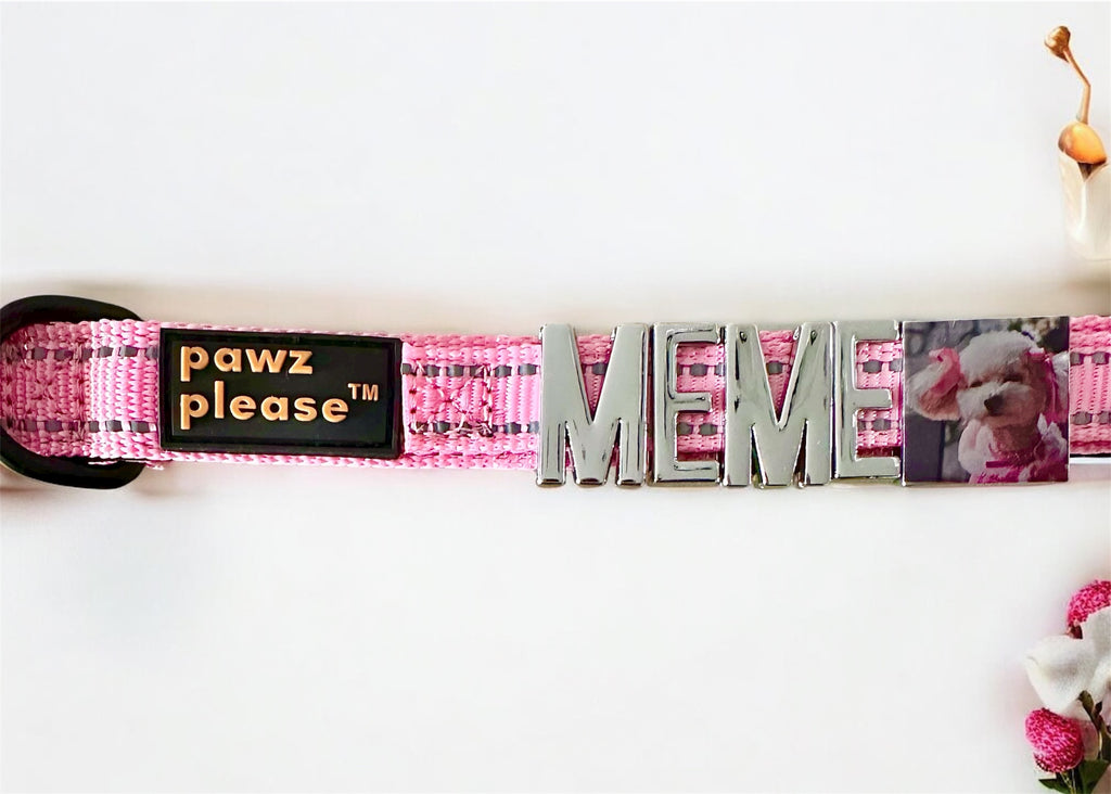 Pink Pawz Please collar with charms spelling MEME and a square charm with a dogs face printed on, on a white background.