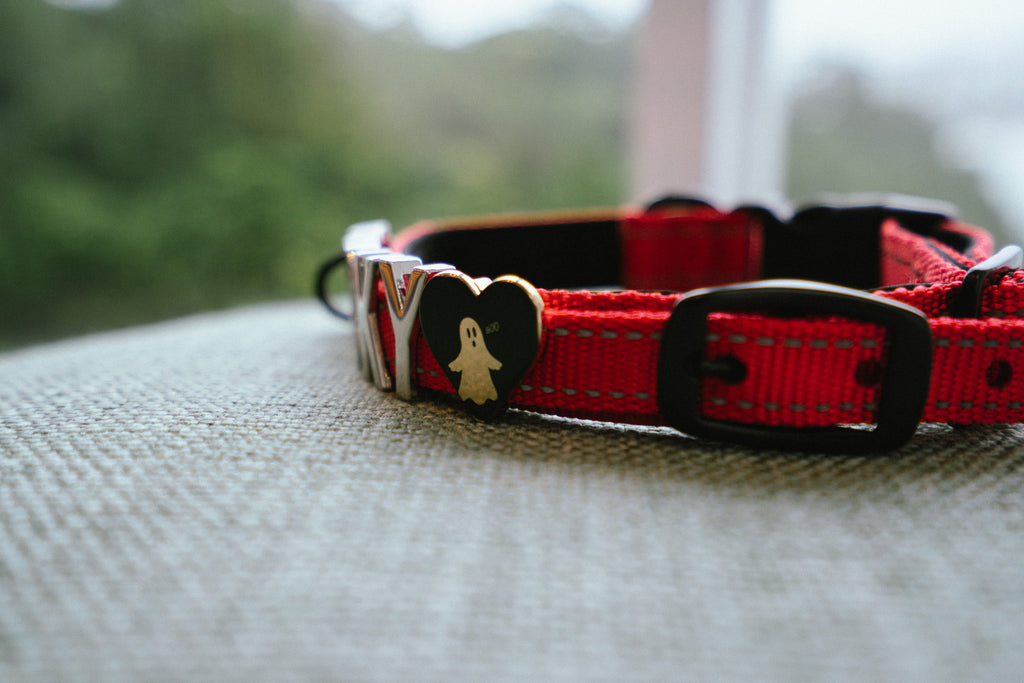 Red Pawz Please collar with a heart-shaped charm and a ghost with the words BOO printed on