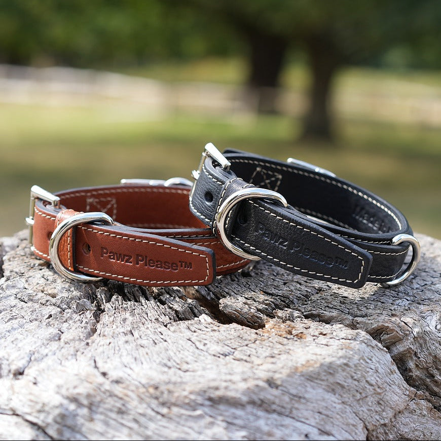 Two Pawz Please leather dog collars, one brown and one black, on a rock with a blurred natural background.