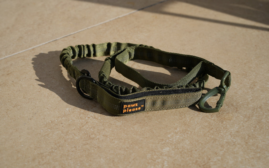 Verdant Green Pawz Please Nylon Leash on a beige tiled floor