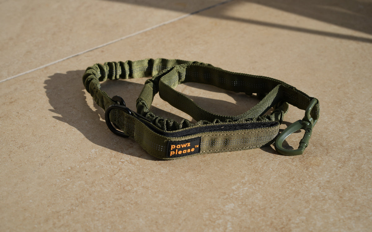 Verdant Green Pawz Please Nylon Leash on a beige tiled floor