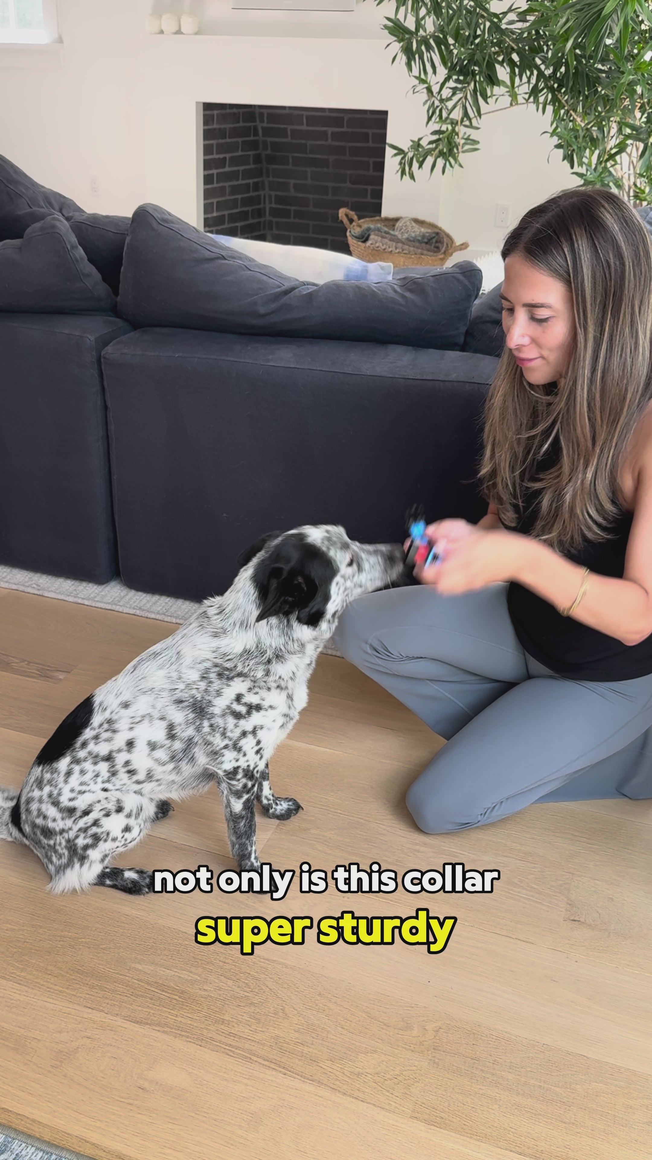 Load video: Pawz Please Video Showcasing The Explorer Nylon Collar with Custom Charms